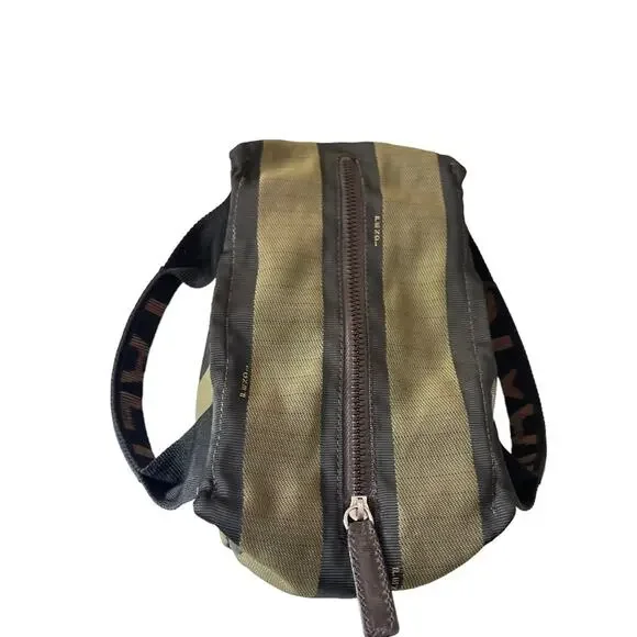 Fendi Roma Pequin Striped Brown Canvas Mini Bag - Picture 7 of 10